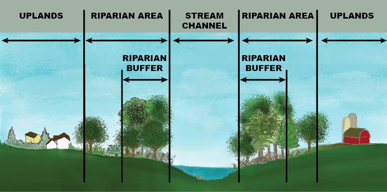 buffer-chart.png